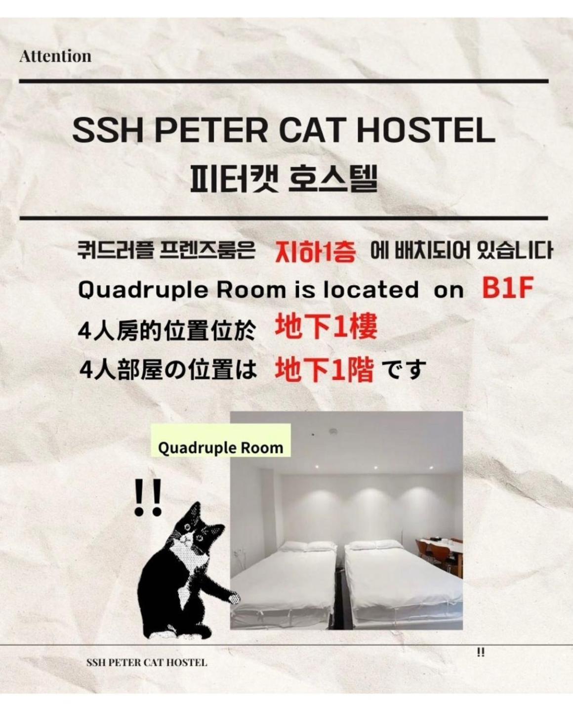 Ssh Ikseon Peter Cat Hotel *